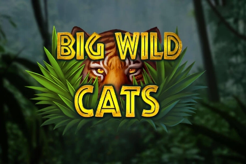 12713 big wild cats
