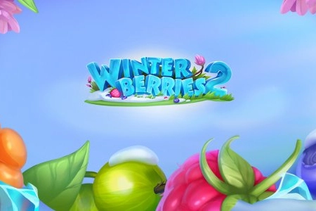 25584 winterberries 2